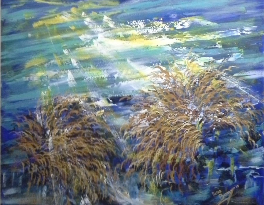 Luce