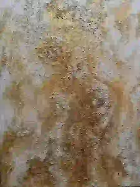 Anima