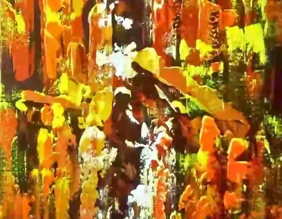 2014_lucidautunno