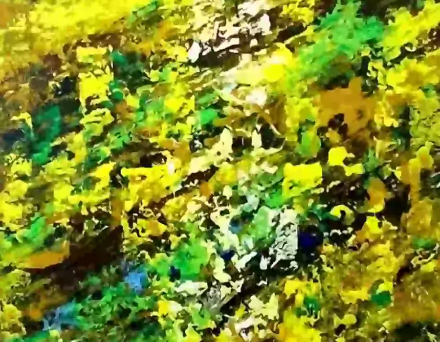 Raggi di luce