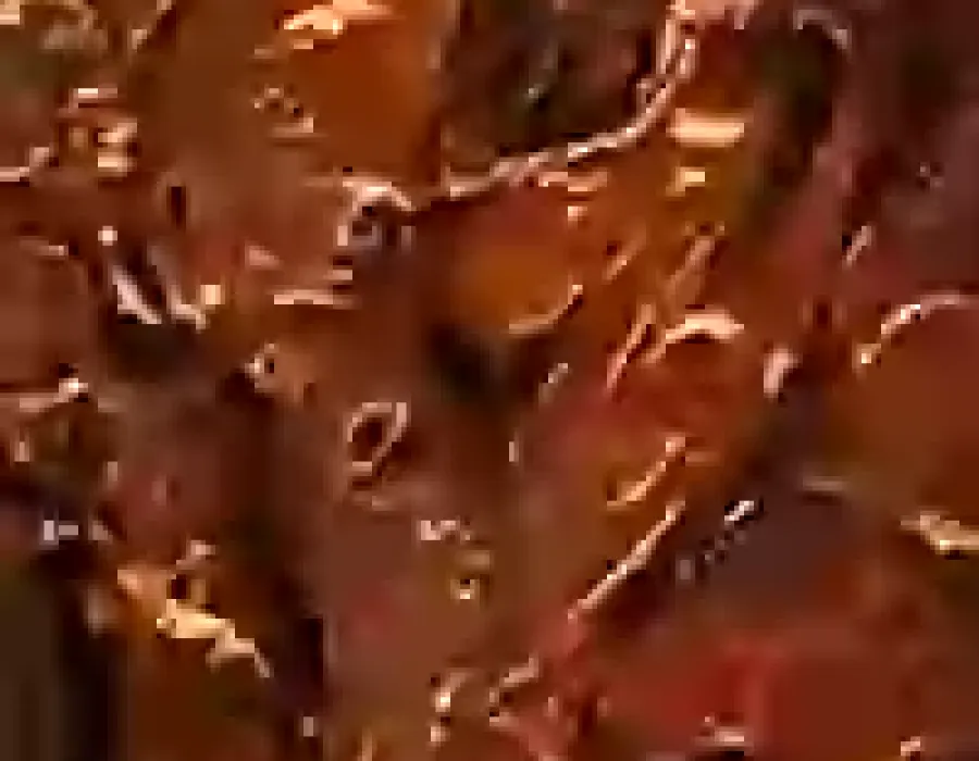figure_ancestrali_100x20